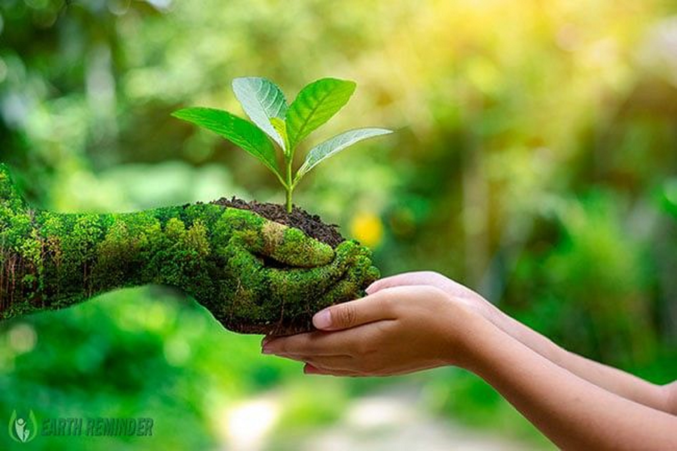 Sustainability